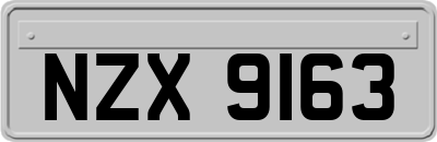 NZX9163