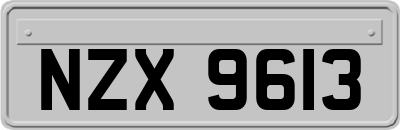 NZX9613