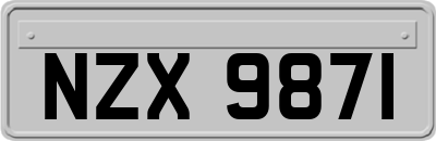 NZX9871