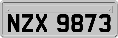 NZX9873