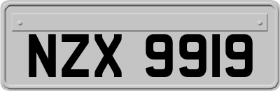 NZX9919