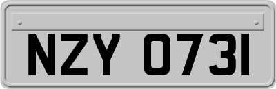 NZY0731