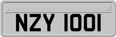 NZY1001