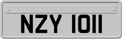 NZY1011