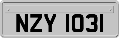 NZY1031