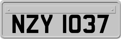 NZY1037