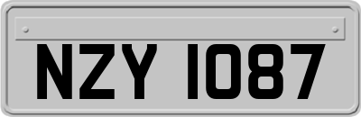 NZY1087