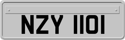 NZY1101