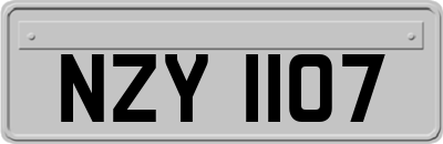 NZY1107