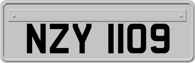 NZY1109