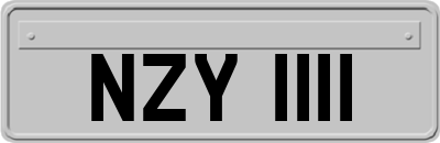 NZY1111