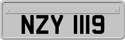 NZY1119