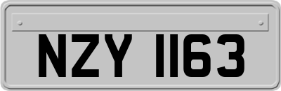 NZY1163