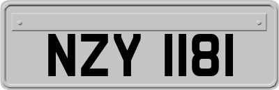 NZY1181