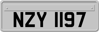 NZY1197
