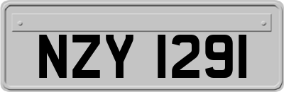 NZY1291