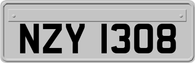 NZY1308