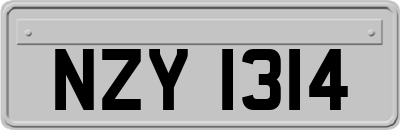 NZY1314