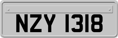 NZY1318