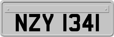 NZY1341