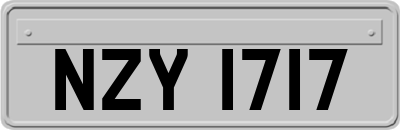 NZY1717