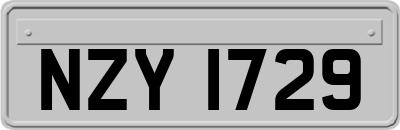 NZY1729