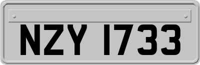 NZY1733