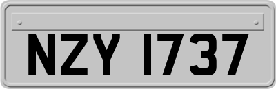 NZY1737