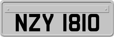 NZY1810