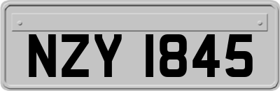 NZY1845