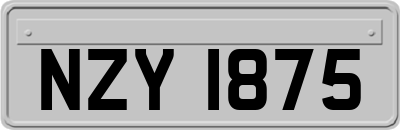 NZY1875