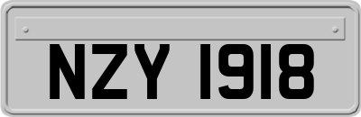NZY1918