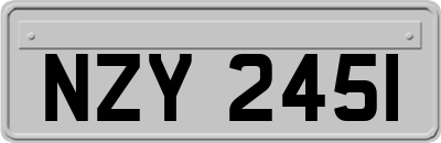 NZY2451