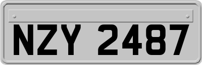 NZY2487