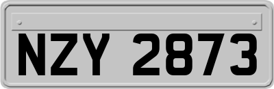 NZY2873