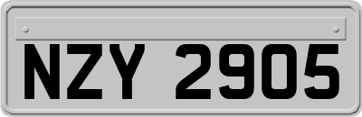 NZY2905