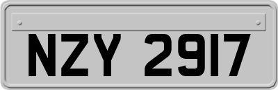 NZY2917