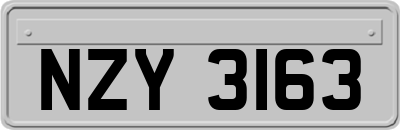 NZY3163