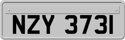 NZY3731