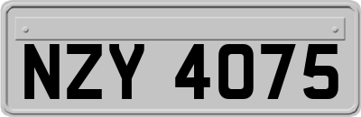NZY4075