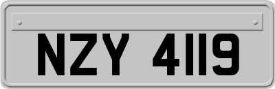 NZY4119