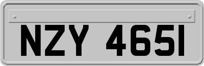 NZY4651