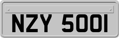 NZY5001