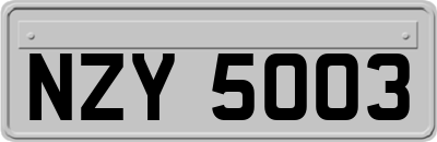 NZY5003