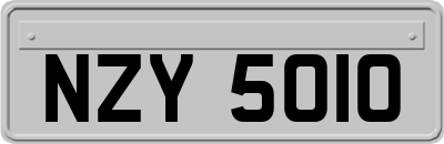 NZY5010