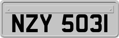 NZY5031