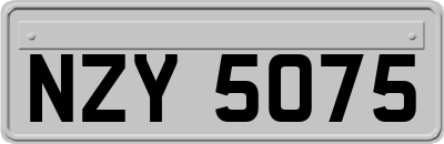 NZY5075