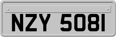 NZY5081