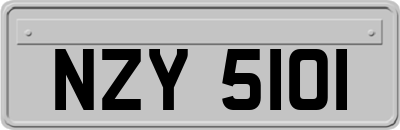 NZY5101