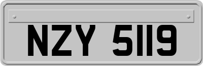 NZY5119